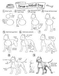 How To Draw Cool Stuff How To Draw A Pitbull Sketches Tutorial Pitbull Drawing Pitbull Art