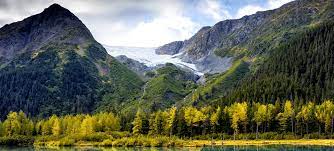 Alaska facts for kids alaska, the last frontier, is the 49th state alaska became the 49th state in 1959 and is actually the biggest state of the united states! 50 Interesting Alaska Facts And Factretriever Com