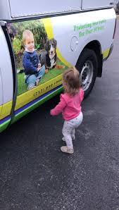 Include safer techniques for pest elimination and remove. Bj Riley Pest Control Home Facebook