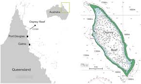 High resolution depth and elevation map of the great barrier reef, coral sea and neighbouring. File Osprey Reef Map Png Wikimedia Commons
