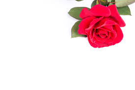 See only photos, psd or all resources. Pin On Thendz93