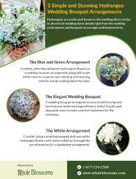 Hydrangea Gives An Elegant Look In Your Special Day This Infographic Provides You The Best Uses To Hydrangea Flower Hydrangea Bouquet Wedding Flowers For Sale