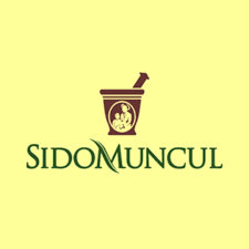Help you deeply analyze the target market. Choon Hua Trading Corporation Malaysia S Leading Frozen Food Confectionery Beverage And Consumer Goods Disttibutor