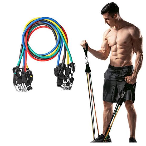 Fitness Bands
