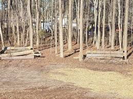 Or pitch a tent and enjoy a traditional camping experience. Saving Money On Firewood Thriftyfun