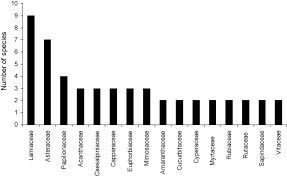 Image result for Achyrospermum carvalhoi