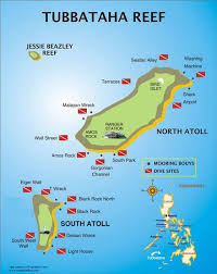 Tubbataha Reefs Natural Park Best Scuba Diving Natural Park Diving