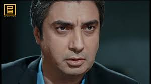 Valley of the Wolves: Ambush (2007)