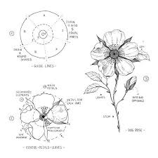 Dog Rose As I Promised I Tried To Create A Tutorial For A Dog Rose Inspired By One My Dra Flower Drawing Tutorials Flower Drawing Easy Flower Drawings
