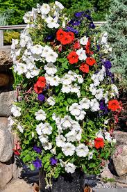 21 Flower Towers You Can Make In A Weekend Flower Tower Flower Pots Beautiful Flowers