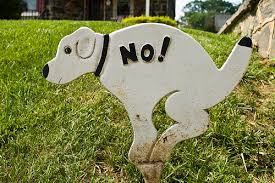 In the neighborhoods of south los angeles and east los angeles there are bottles of water on the lawns. How To Stop Dogs From Using Your Lawn As A Bathroom Networx
