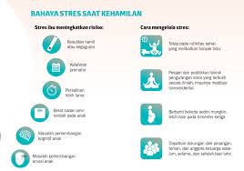 Bagi ibu ibu yang mengalami alahan mengandung, insyaallah artikel cara mengatasi loya dan alahan kehamilan ini akan sangat membantu. Ibu Stres Saat Hamil Pengaruhi Otak Bayi Koran Tempo Co