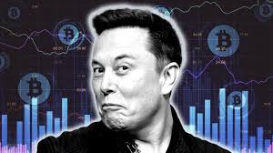 Instead, the company believes in the longevity of bitcoin, despite its volatility. Opinion Tesla Turns A Profit On Bitcoin Sale But Its Technoking And Master Of Coin Say It Won T Become A Habit Marketwatch