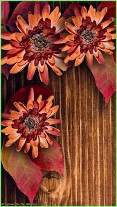 Wallpaper Backgrounds Vintage Autumn On Wood Iphone Wallpapers Mobile9 Girlywallpaperba Wood Iphone Wallpaper Fall Wallpaper Thanksgiving Wallpaper