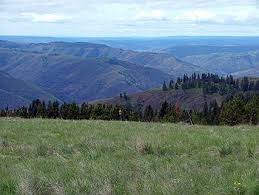 Maybe you would like to learn more about one of these? Fields Spring State Park Anatone Wa Washington State Parks State Parks Park