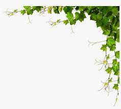 Find the perfect fall leaves border stock photos and editorial news pictures from getty images. Fundo Page Borders With Leaves Transparent Png 820x717 Free Download On Nicepng