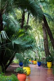 Jardin Majorelle A Marrakech Jardin Majorelle Jardins Amenagement Jardin