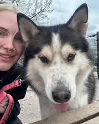 City of Buffalo Animal...