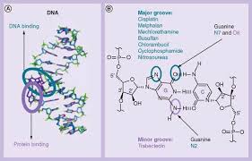 Image result for Trabectedin