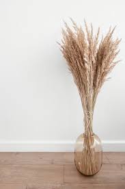 Free Photo Glass Vase With Pampas Grass Bouquet Decor Grass Decor Pampas Grass Decor