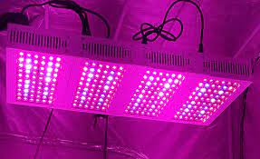 What is the power consumption of the led grow light? Choosing The Best Led Grow Light Maryjane Farmer S Advice 420beginner