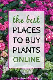 Delivered in every country in europe. The Best Online Nurseries For 2021 Where To Buy Perennials Trees And Shrubs Online Gardening From House To Home Online Plant Nursery Plant Nursery Online Nursery