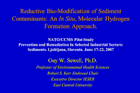 Science > biology > botany> morphology of plants > modification of roots in this article, we shall study the modification of roots for the purpose of food storage, respiration, support, etc. Reductive Bio Modification Of Sediment Contaminants An In Situ Molecular Hydrogen Formation Approach Nato Ccms Pilot Study Prevention And Remediation Ppt Video Online Download