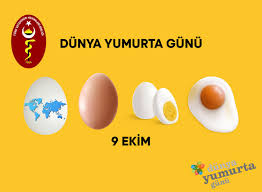 Dünya günü bugün google'ın anasayfasını süsledi. Dunya Yumurta Gunu 09 10 2020 Turk Veteriner Hekimleri Birligi