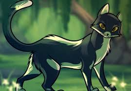 Lol) then this is the app for you!! How To Draw Warrior Cats Trending Difficulty Any Dragoart Com