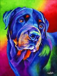 Thor Signed Print From Original Watercolor Rottweiler Dog Painting Dog Paintings Animal Art Pet Portraits
