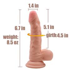 6.7'' Venis Suction Cup Dildo Dong with Balls -Realistic Penis Sex Porn  Toys for Beginner Players (Toby's Dick)
