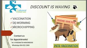 Welcome to family pet clinic, a veterinary clinic helping you take care of your dog and cat family members. Professional Veterinary Clinic Home Facebook