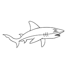 The unpredictable and dangerous aura of this wild animal captured in a few magnificent pictures. Top 20 Shark Coloring Pages For Your Little Ones