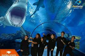Funtastic Aquarium Izmir Hat Ein Neues Funtastic Aquarium Izmir Facebook