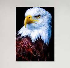 Gambar sayap hijau paruh burung rajawali biru burung hantu fauna burung buas bertulang belakang komputer wallpaper 3491x2408 1215582 galeri foto pxhere. Hiasan Dinding Rumah Keren Lukisan Burung Elang Poster Kayu Wall Decor Dekorasi Rumah Hiasan Kamar Hiasan Minimalis Hiasan Unik Hiasan Ruangan Cafe Vintage Lazada Indonesia