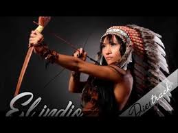 Image result for Diestrack Mztsunami