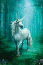 Check spelling or type a new query. Anne Stokes Unicorn Jednorozec Plakat Galeria Plakatu