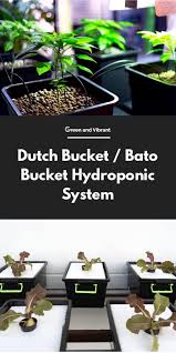 The space below the hole retains water and nutrients. Dutch Bucket Bato Bucket Hydroponic System Trees Com