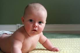 Photo by Crystal Whitehead