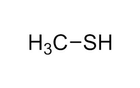 Image result for Methanethiol