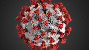 Everyone who is getting jabbed for the chinese virus will die, he reportedly stated during a recent interview, which you can watch belo. Covid 19 En Nouvelle Aquitaine Ce 7 Avril 65 Nouveaux Cas 138 Deces Info Eco