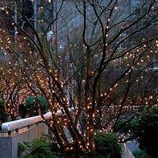 Strings Of Lights Make A Garden Magical Outdoor Tree Lighting Outdoor Trees Tree Lighting