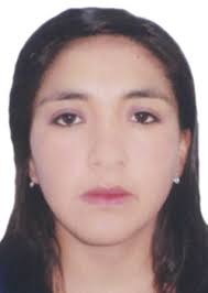 Propiedades de Otorongos Elecciones 2022