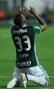 O figueirense pode continuar sendo chamado de furacão, máquina do estreito, etc., e ter um animal como mascote; Com Dois Gols De Jean Palmeiras Bate Figueirense E Amplia Vantagem Na Lideranca Palmeiras