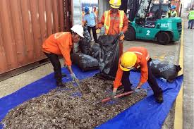 Maybe you would like to learn more about one of these? Vietnam Seizes 5 Tonnes Of Pangolin Scales From Nigeria