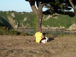 Bon Port Guernsey Island Guernsey Tree