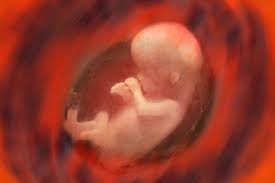 We did not find results for: Before I Formed Thee In The Belly I Knew Thee Deshen Daily Devotional