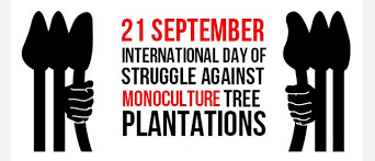 Jim ochterski, cornell university cooperative extension of ontario county peter smallidge, cornell university cooperative extension, department of. Struggle Against Monoculture Tree Plantations Save Our Roots