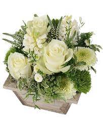 Alcuni suggerimenti per ogni occasione. Consegna Fiori Rose Bianche Firenze Invia Composizione Floreale A Domicilio In Giornata