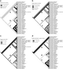 Image result for Cyrtanthus rhodesianus